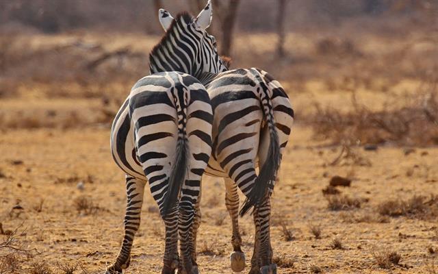 africa-e-oceano-indiano (14).jpg